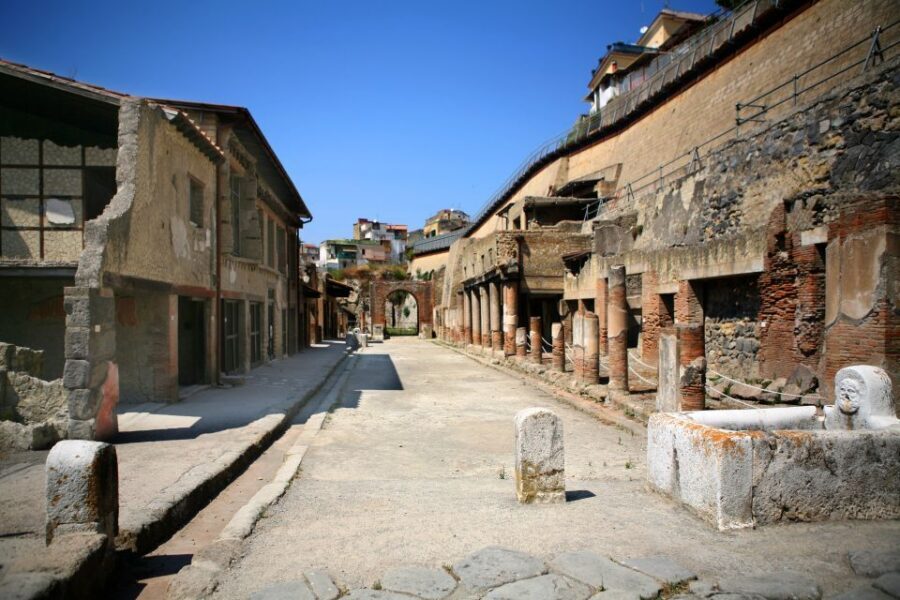 2-Hour Private Tour of the Ruins of Herculaneum - Price and value for a $167.66 private tour