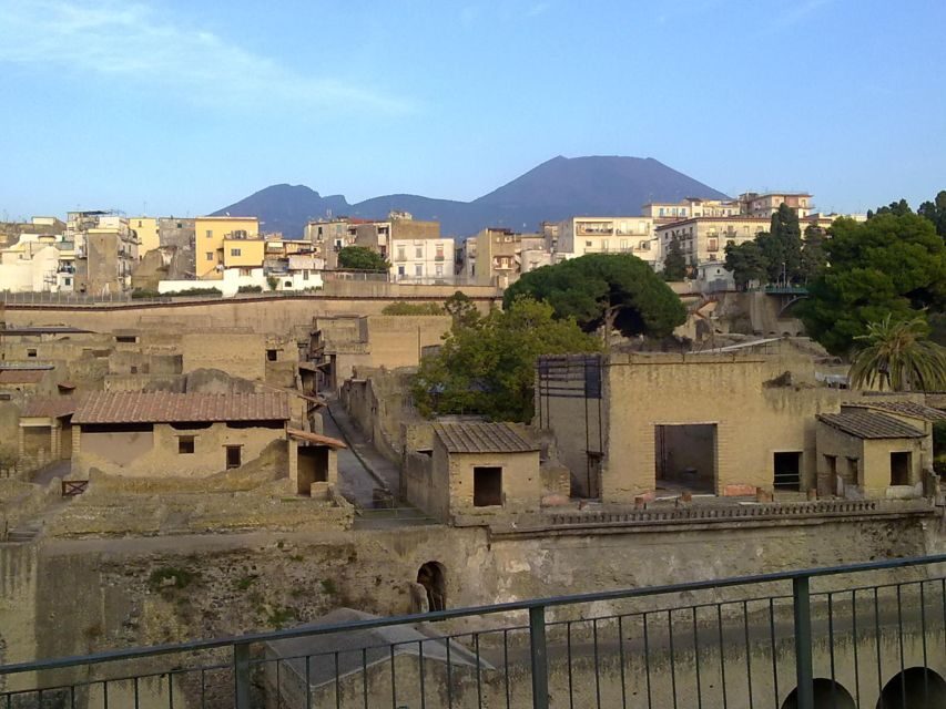 2-Hour Private Tour of the Ruins of Herculaneum - House of Neptune and Amphitrite mosaics (plus carbonized containers)