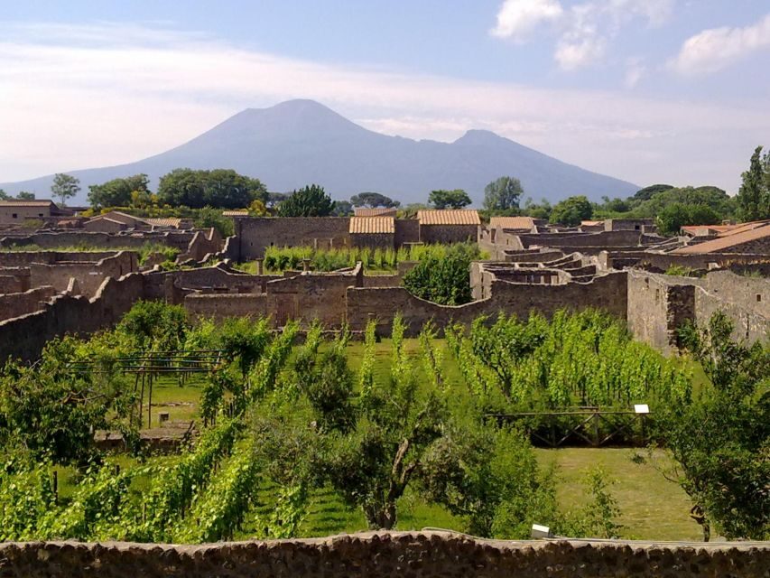 2-Hour Private Walking Tour of Pompeii - Forum Time: Temple of Apollo, Capitolium, Emperor’s Temple, and the Basilica