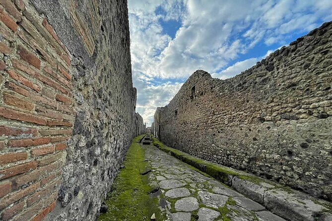 2 Hours Private Tour of Pompeii for Journey Through Time - Via dell’Abbondanza: The Street Where Pompeii’s Social Classes Meet