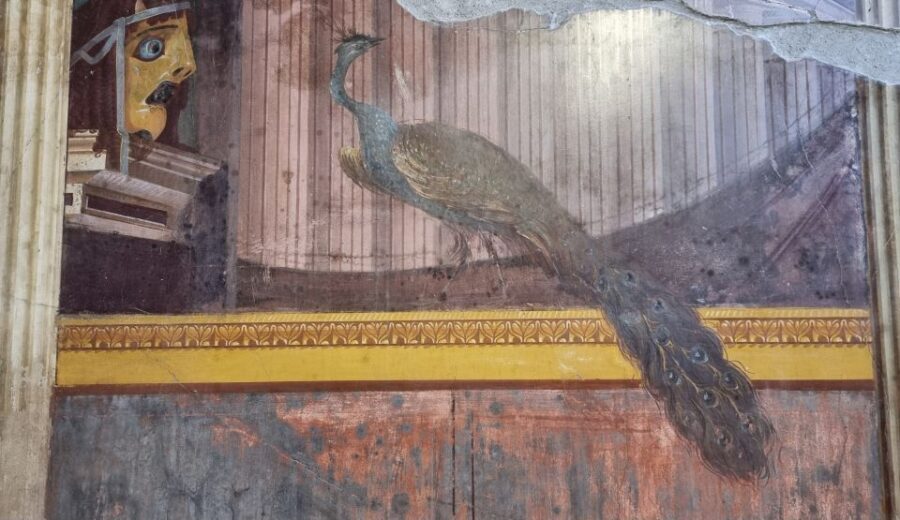 Campania: Pompei+Herculaneum+Vesuvius audio guide - Vesuvius and Oplontis: the outdoor audio that matters when views are big