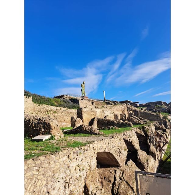 Day Trip to Pompeii & Vesuvius from Naples - Guides and Drivers: Why Private Changes the Whole Day