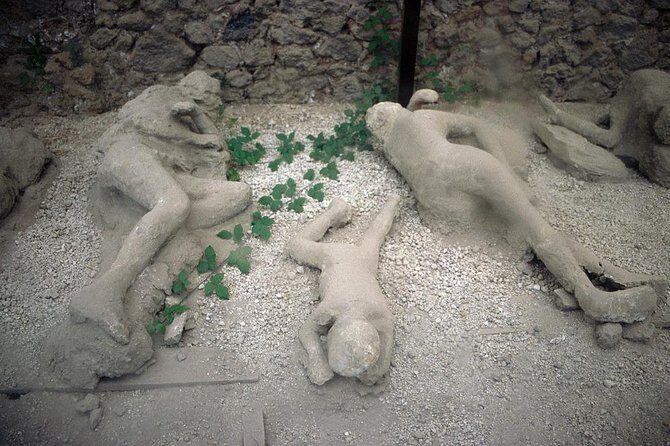 Daytrip from Naples port to Pompei, Sorrento & Positano - Price and Value: What $559.36 Per Person Really Covers
