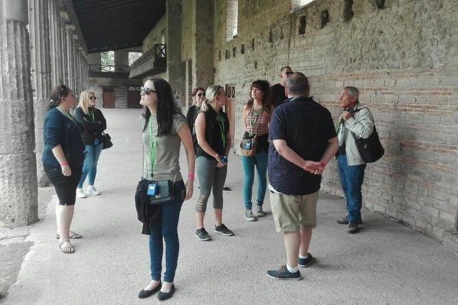 Discover Pompeii on this Guided Walking Tour of the Buried City - Vesuvius explained the way it helps you see the ruins