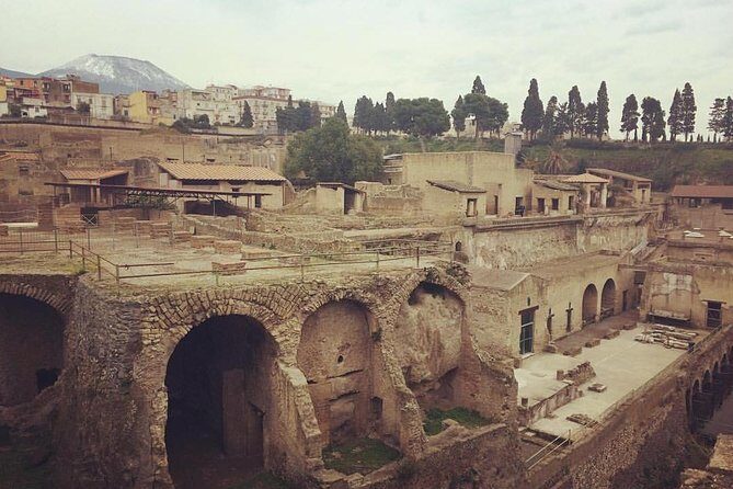 Excellence Private Herculaneum Guided Tour with an Archeologist - Parco Acheologico di Ercolano: bones, preserved artifacts, and the Holy Terrace