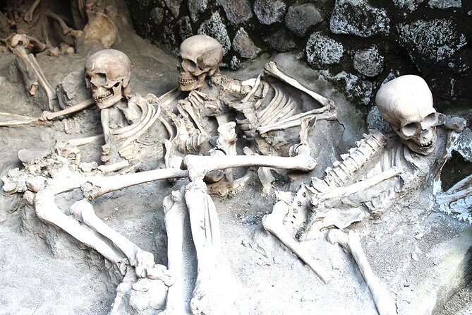 Fast Access Exclusive Private Ancient Pompeii Herculaneum & Oplontis Guided Tour - Pompeii isn’t the whole Vesuvius story