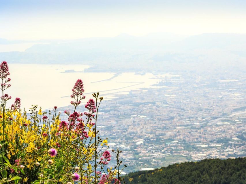 From Castellammare di Stabia Combo Tour_Pompeii & Vesuvius - Pompeii on your own: audio-guide routes that keep it human