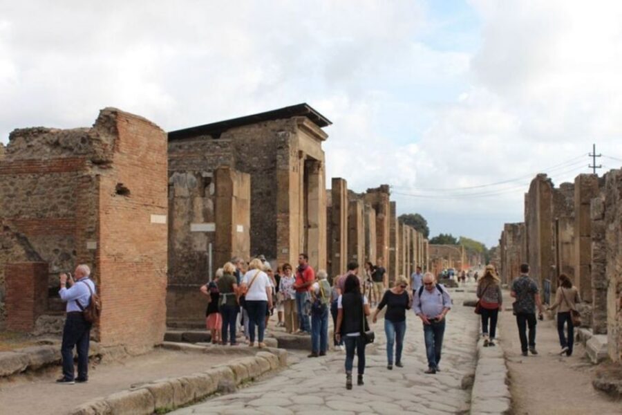 From Naples: Amalfi Coast, Sorrento, and Pompeii Tour - Who this Naples day trip is best for
