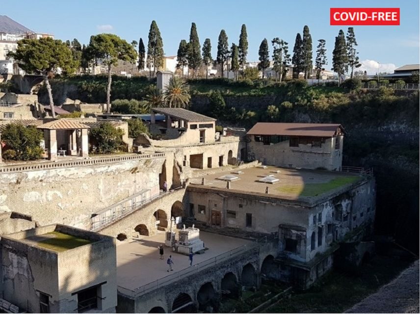 From Naples: Day Trip to Herculaneum with skip the line - What you’ll see in Herculaneum: mud-and-lava time capsules