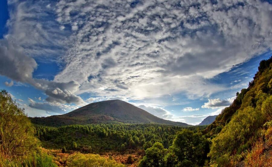 From Naples: Mount Vesuvius Half-Day Tour with Lunch - The pickup plan: where you meet and how timing behaves