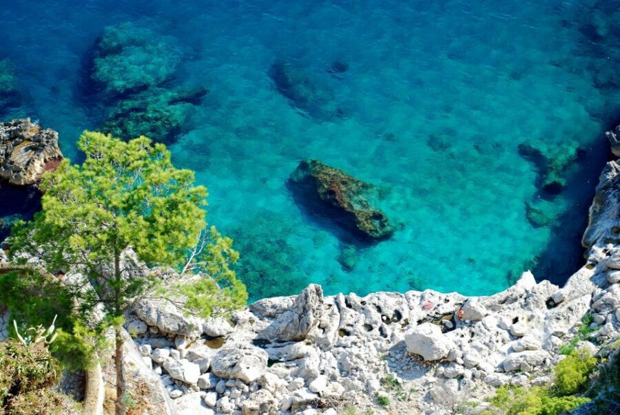 From Naples: Pompeii and Amalfi Coast Full-Day Private Tour - The real value of this private format: drivers who manage the day