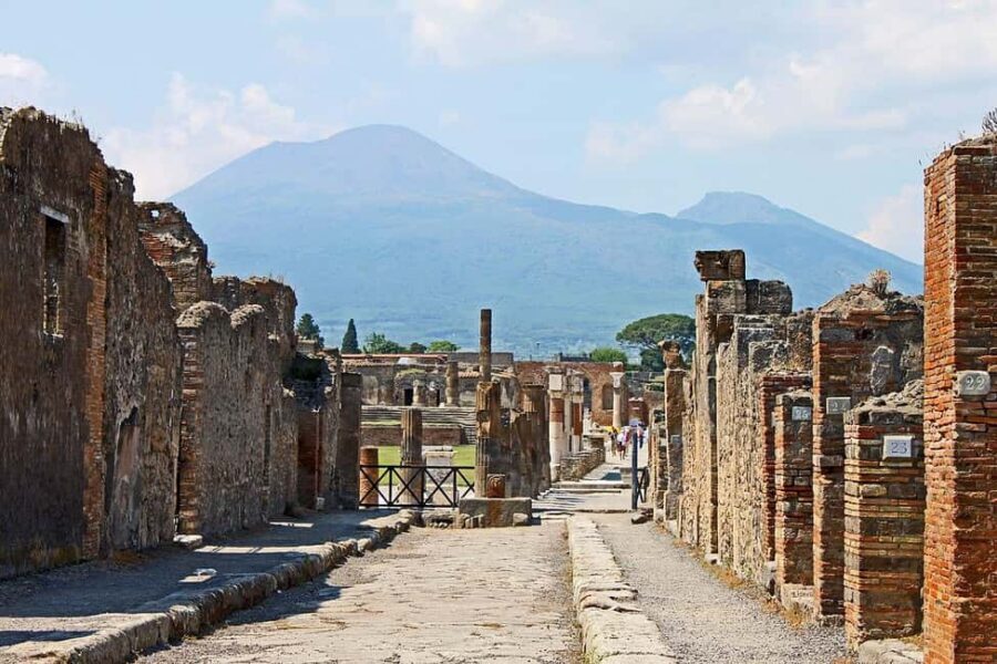 From Naples: Pompeii and Vesuvius Day Tour - A One-Day Combo: Vesuvius Views and Pompeii Streets