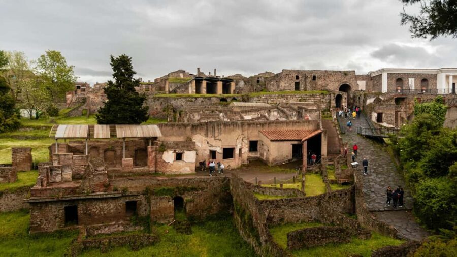 From Naples: Pompeii and Vesuvius Day Tour - Mount Vesuvius Walk: Cone Trail, Crater Scale, and What You’ll See