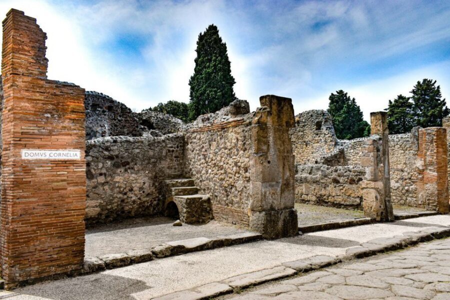 From Naples: Pompeii and Vesuvius Full-Day Tour with Lunch - Group size, guide quality, and the audio backup plan
