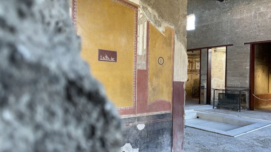 From Naples: Pompeii Guided Tour with Skip-the-Line Tickets - Skip-the-line tickets: what they save and what they don’t