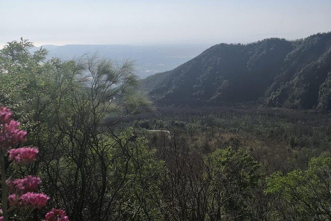 From Naples: Pompeii & Mount Vesuvius Full-Day Tour with Lunch - Lunch at Ristorante pizzeria Turistico: a reset near the ruins