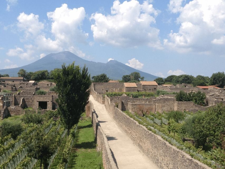 From Naples: Pompeii Ruins VIP Guided Tour - Key reasons this works