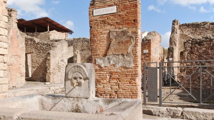 From Naples: Pompeii Ruins VIP Guided Tour - VIP Style Pickup From Naples to Pompeii