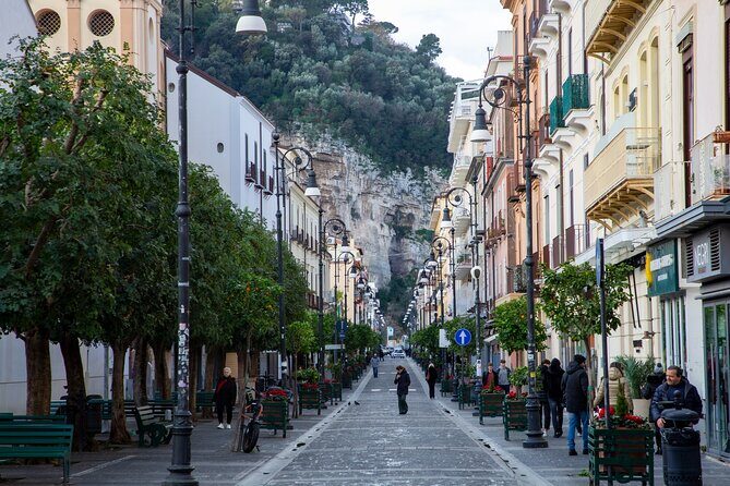 From Naples: Private Tour Pompei and Sorrento with lunch - Mt Vesuvius vineyard lunch: the part that makes the day feel special