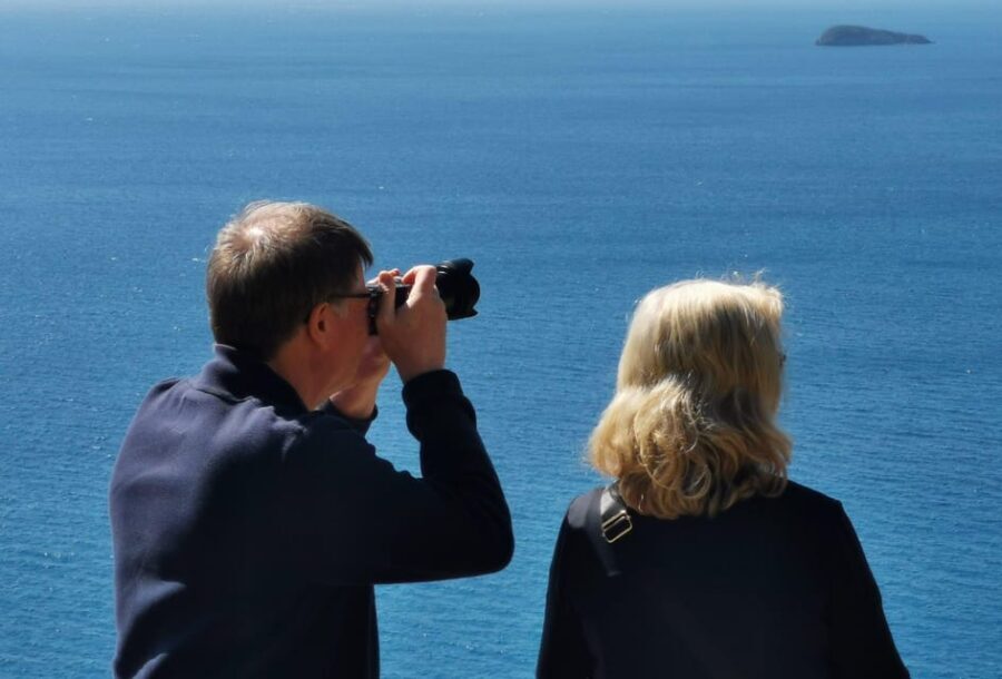 From Naples: Private Tour to Pompeii, Sorrento, and Positano - Sorrento: sea views, limoncello tasting, and a calmer stroll