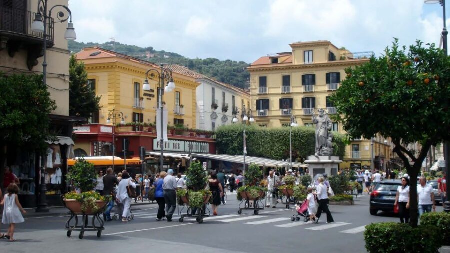 From Naples: Private Tour to Pompeii, Sorrento, and Positano - Guide quality is a real part of the value here