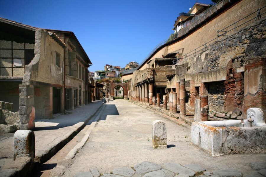From Naples: Vesuvius and Herculaneum Day Trip with Tickets - Audio guides, apps, and maps: your best strategy