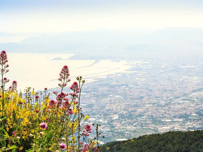 From Naples: Vesuvius Easy Tour - How the timed entry works at Vesuvius