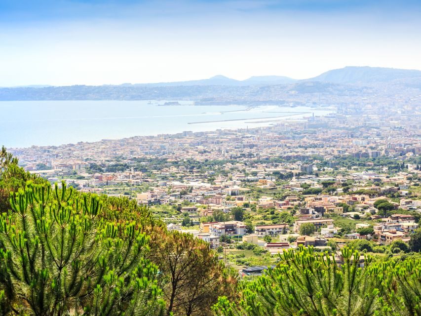 From Naples: Vesuvius & Pompeii with Transfer & Audio Guide - A 6-hour Naples-to-Vesuvius-and-Pompeii schedule that actually fits