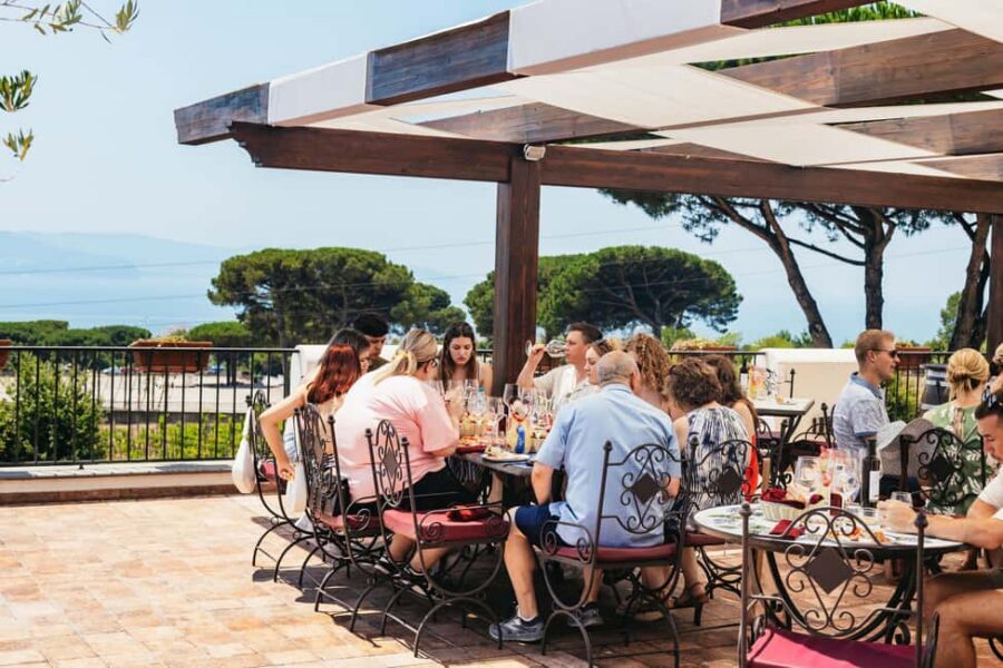 From Naples: Wine Tasting Tour on Vesuvius Slopes with Lunch - Mount Vesuvius vineyard visit: what volcanic soil changes