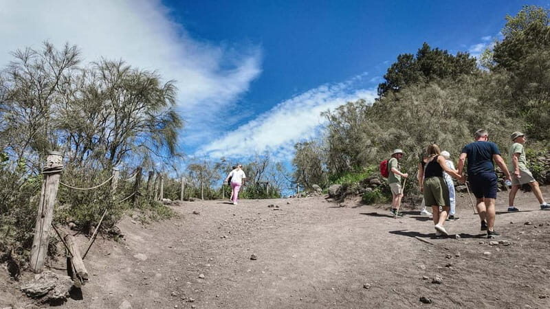 From Pompeii: Mount Vesuvius with bus, ticket and audioguide - Using the optional Vesuvius National Park entrance ticket smartly