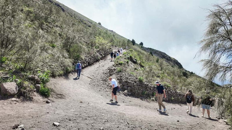 From Pompeii: Mount Vesuvius with bus, ticket and audioguide - Who this tour suits best (and who should skip it)