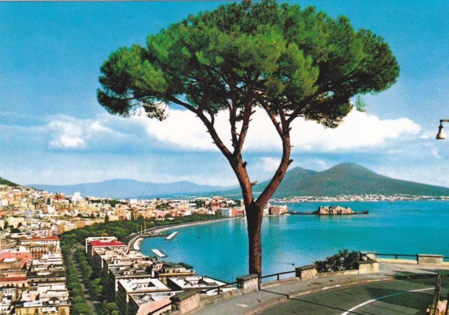 From Rome: Full Day Pompeii and Naples Tour - Pompeii and Naples in one day: the payoff you actually feel
