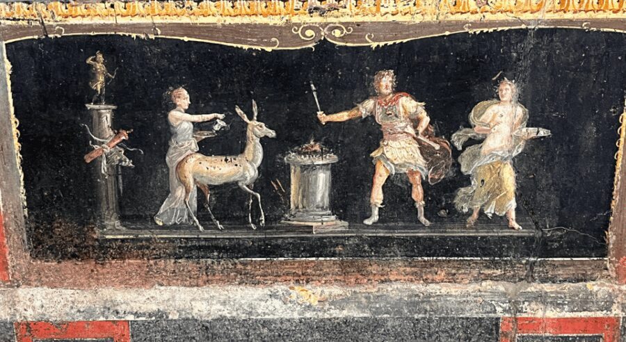 From Rome: Pompeii and Herculaneum Tour w/ High-speed Train - Who This Tour Fits Best (and Who Should Skip It)