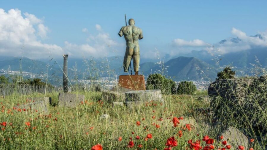 From Rome: Pompeii and Naples Day Trip by High-Speed Train - Who this day trip fits best (and who should skip it)