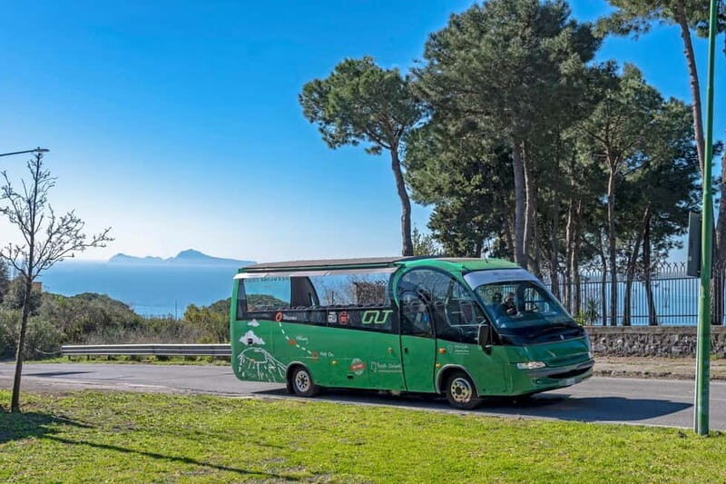 From Rome: Pompeii and Vesuvio Guided Day Trip with Lunch - Key points to know before you go