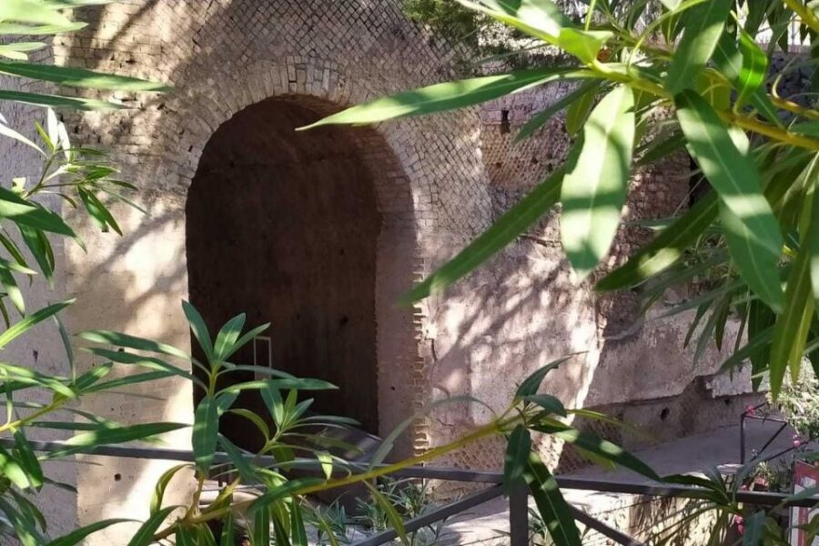 From Rome: Pompeii & Naples Small-Group Day Tour with Lunch - Should you book this Pompeii and Naples day tour?