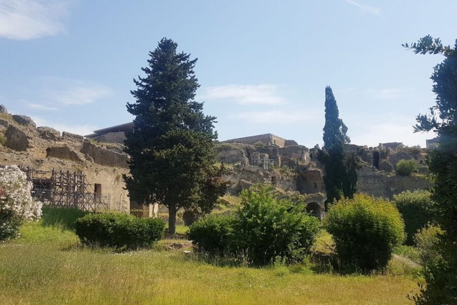From Rome: Pompeii & Naples Small-Group Day Tour with Lunch - Small-group logistics: driver comfort, assistant support, and guided language options