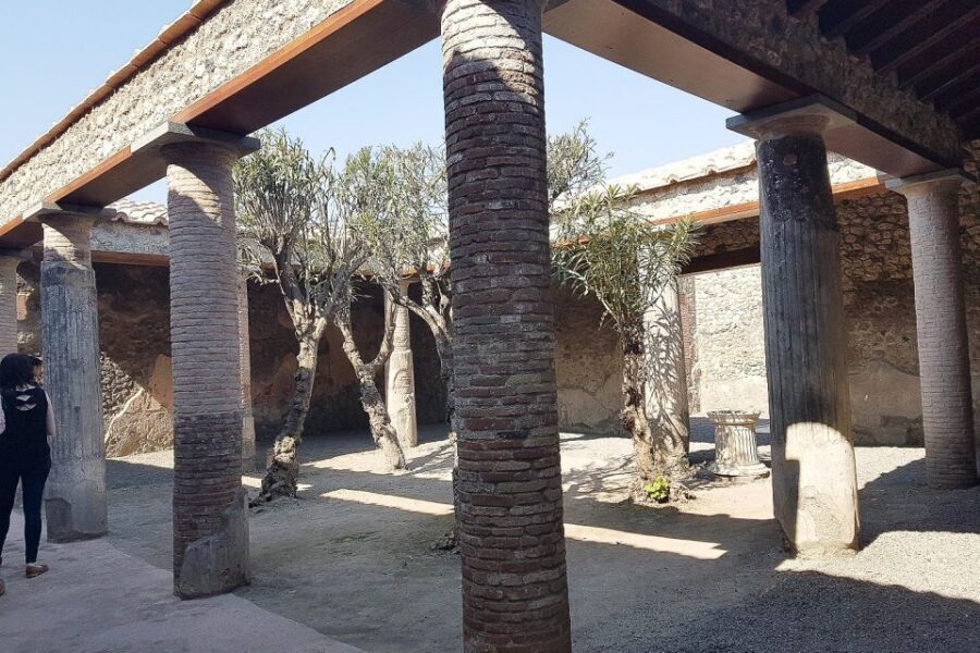 From Rome: Pompeii & Naples Small-Group Day Tour with Lunch - Pompeii’s streets: what a 2-hour professional guide helps you see