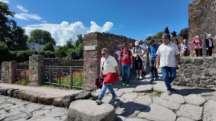 From Salerno: Pompeii Guided Walking Tour with Ticket - Small-group feel and guide languages