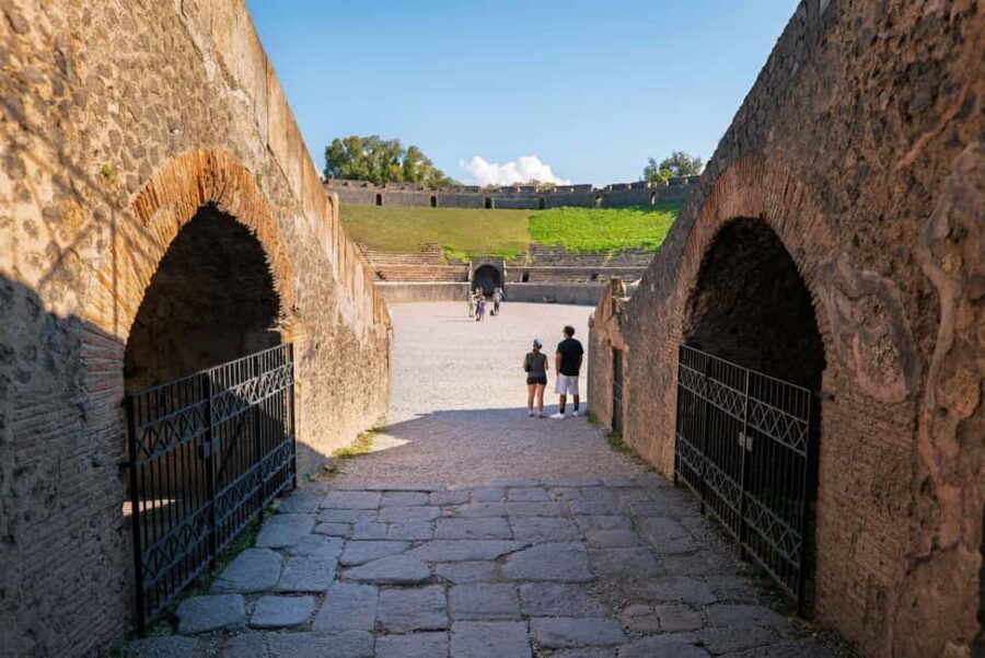 From Salerno: Pompeii Guided Walking Tour with Ticket - How “local guide” translates into a better day