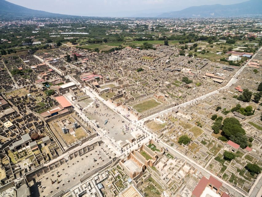 From Salerno: Vesuvius & Pompeii with audioguide - Who this tour fits best