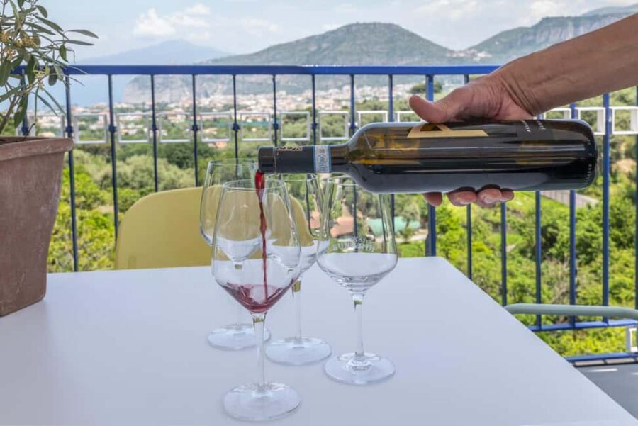 From Sorrento: Pizza-Making Class w/ View of Mount Vesuvius - Price and value: is $106 worth 3 hours?