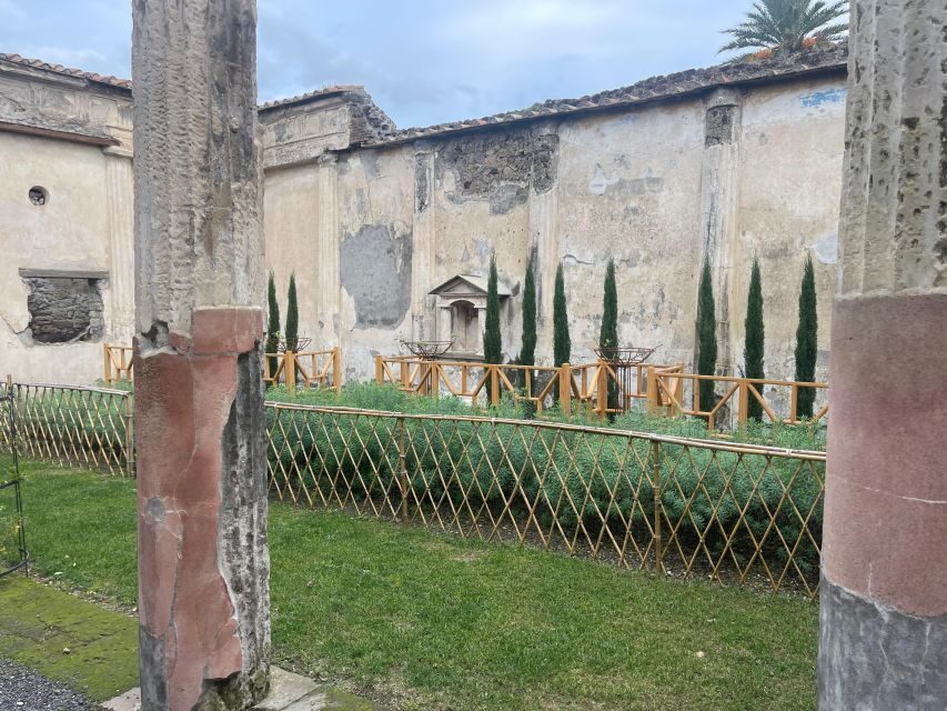 From Sorrento: Pompeii Guided Tour small group - Price and value: what $146.14 covers (and why it’s fair)
