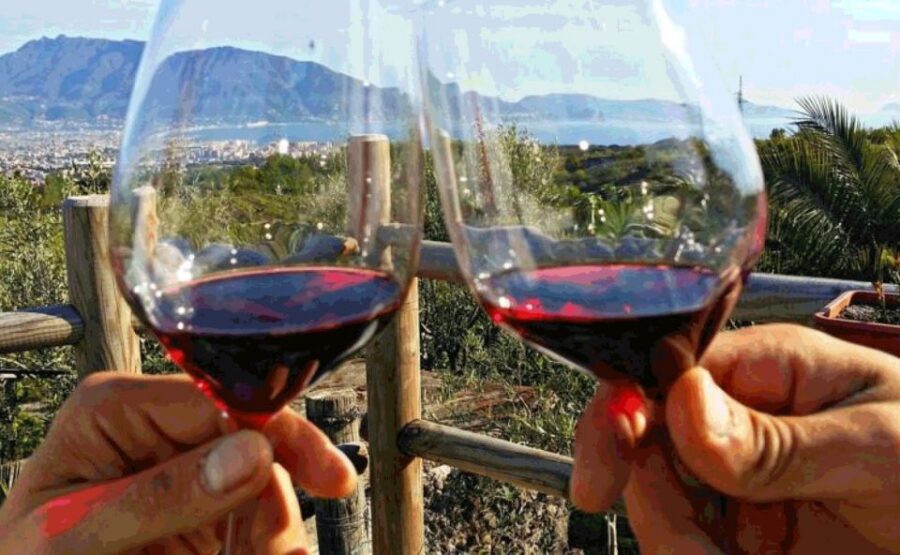 From Sorrento: Pompeii & Mt. Vesuvius Tour with Lunch & Wine - Should you book this Pompeii and Vesuvius tour?