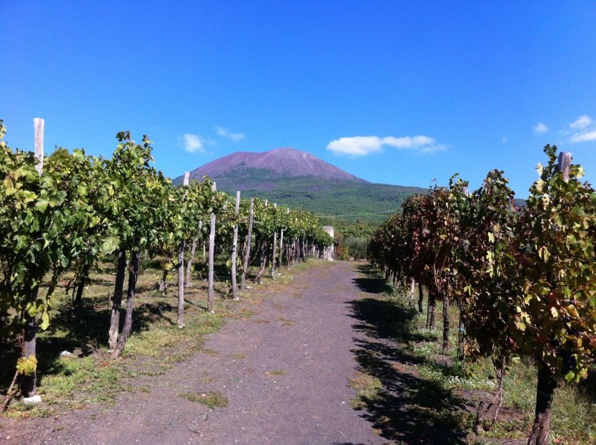 From Sorrento: Skip-the-Line Guided Vesuvius Hike and Lunch - Key highlights I’d plan around