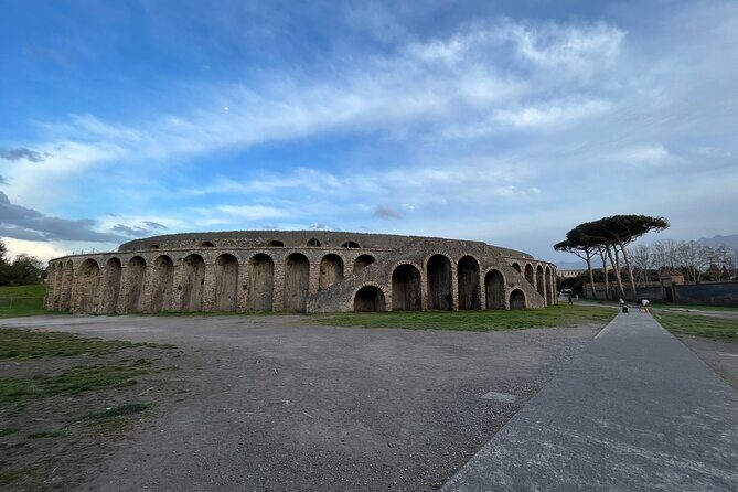 Full Day Private Tour to Pompeii, Herculaneum and Oplontis - Pompeii Archaeological Park: your 2-hour game plan
