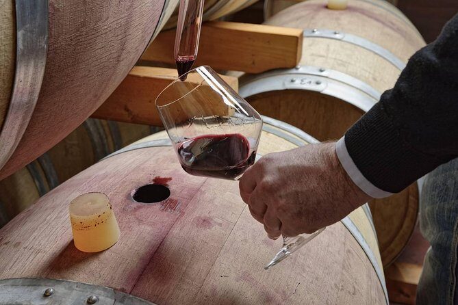 Full Day Small Group Pompeii Tour from Sorrento with Local Wine Tasting - Pompeii’s highlights in two guided hours