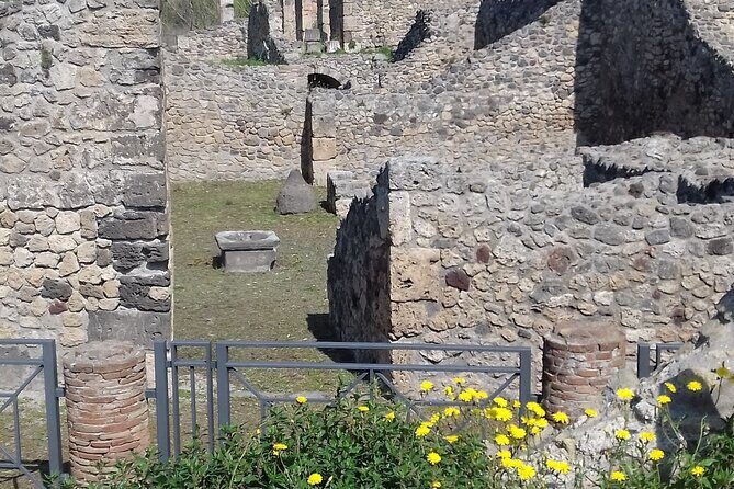 Full Day Tour Pompeii–Sorrento -Positano - Meeting points and pickup: how to keep the morning from turning chaotic