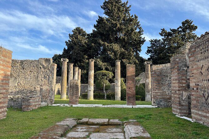 Full Day Tour to Pompeii, Vesuvius and Wine Tasting - Price and Value: What’s Included vs. What Costs Extra