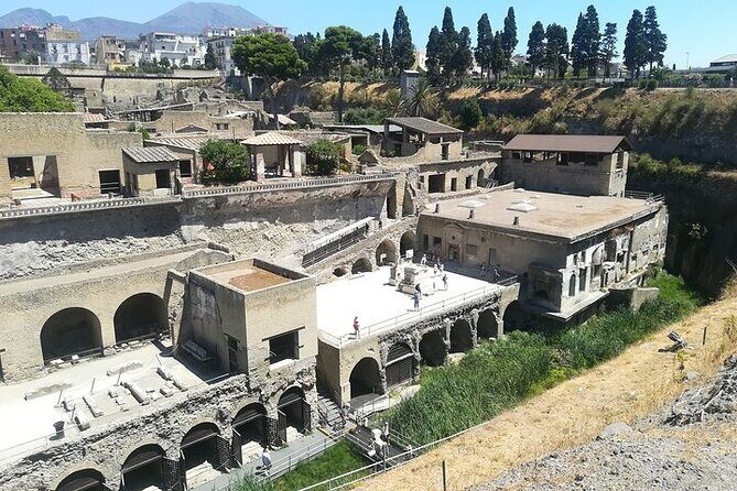 Half Day Excursion to Herculaneum from Naples with Lunch - Parco Acheologico di Ercolano: Frescoes and Roman Villas You Can Still Read
